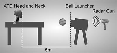 The Effectiveness of Protective Headgear in Attenuating Ball-to-Forehead Impacts in Water Polo